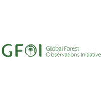 Global Forest Observations Initiative